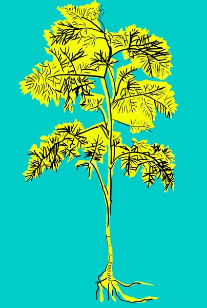 Bild zum Event: «Altstetten Alphabet», Riikka Tauriainen. Ein Projekt von Kunst im öffentlichen Raum (KiöR)