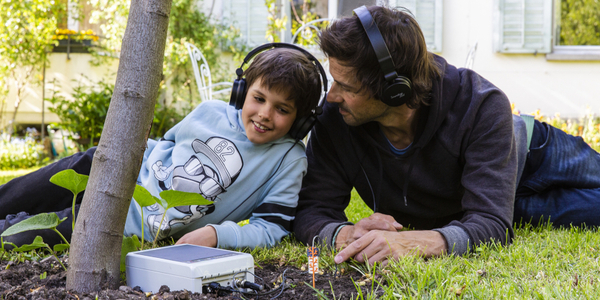 Bild zum Event: Sounding Soil - Entdecke den Boden unter deinen Füssen 