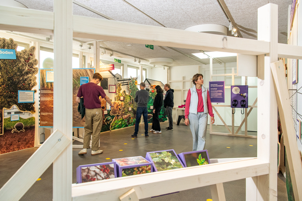 Bild zum Event: Rundgang «Vernetzte Natur - Lebenswerte Stadt»