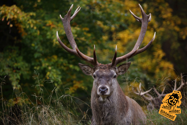 Bild zum Event: Tierpfleger vor Ort