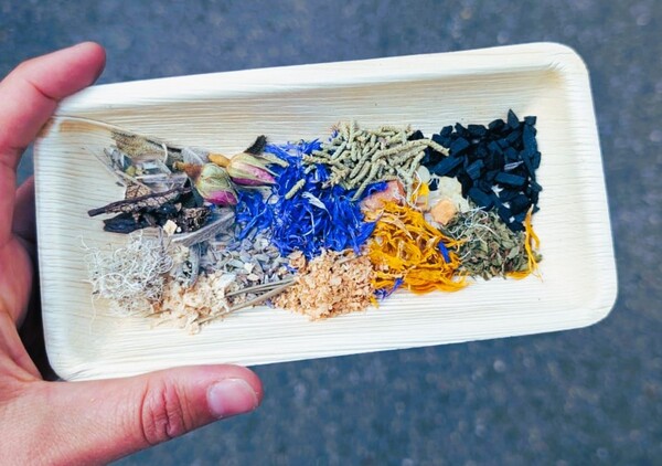 Bild zum Event: Pflanzentag – ein Sonntag für die Sinne 