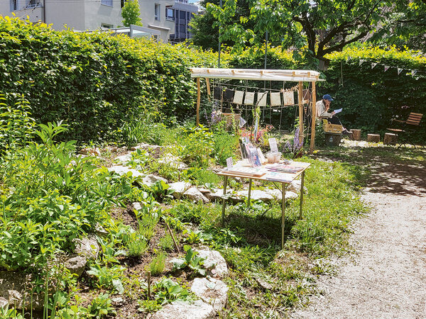 Bild zum Event: Den Lerngarten Kluspark entdecken