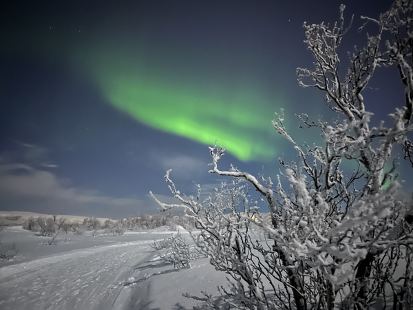 Bild zum Event: Die Sonne und Polarlichter