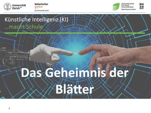 Bild zum Event: BotGartenZuerichs 